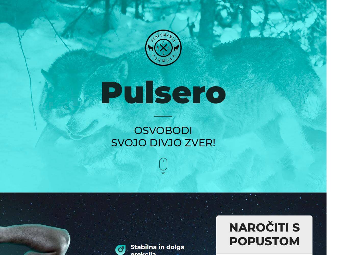 Pulsero 1